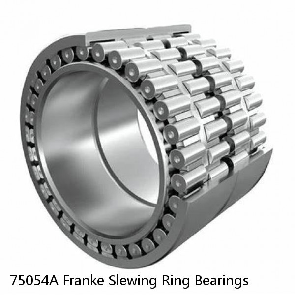 75054A Franke Slewing Ring Bearings