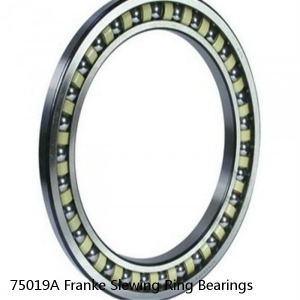 75019A Franke Slewing Ring Bearings