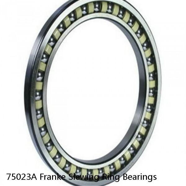 75023A Franke Slewing Ring Bearings