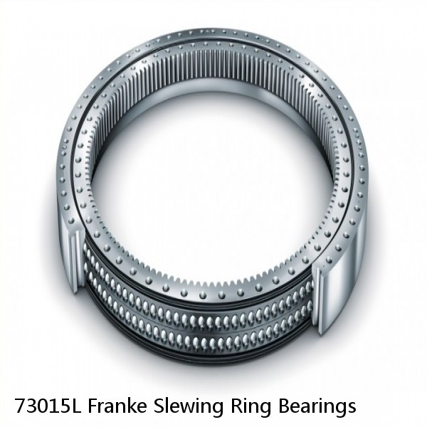 73015L Franke Slewing Ring Bearings