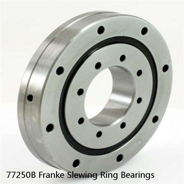 77250B Franke Slewing Ring Bearings