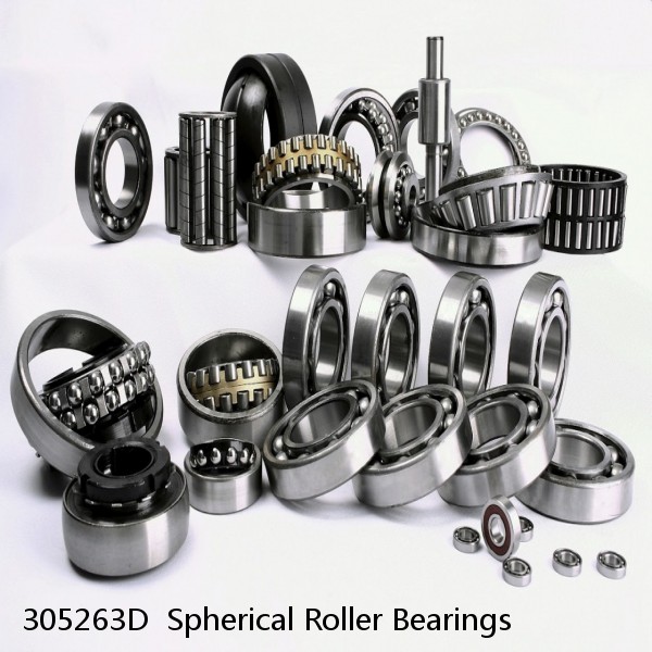 305263D  Spherical Roller Bearings