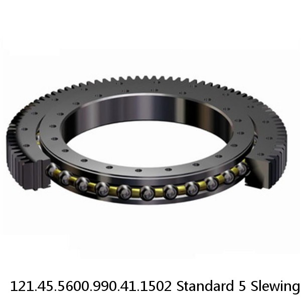 121.45.5600.990.41.1502 Standard 5 Slewing Ring Bearings