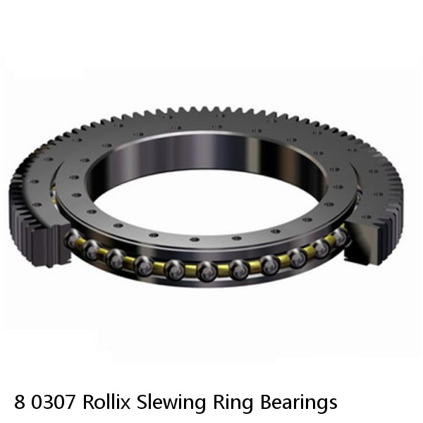 8 0307 Rollix Slewing Ring Bearings #1 small image