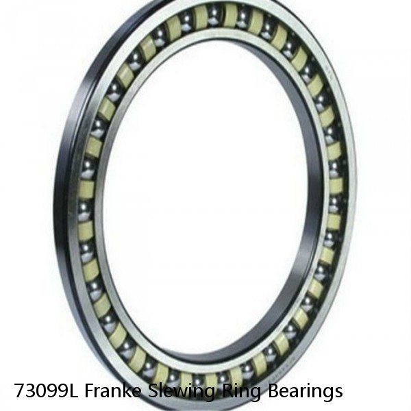 73099L Franke Slewing Ring Bearings #1 small image