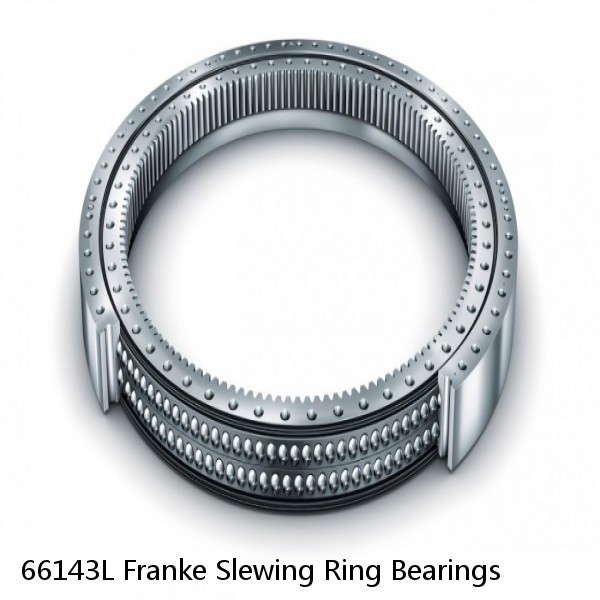 66143L Franke Slewing Ring Bearings