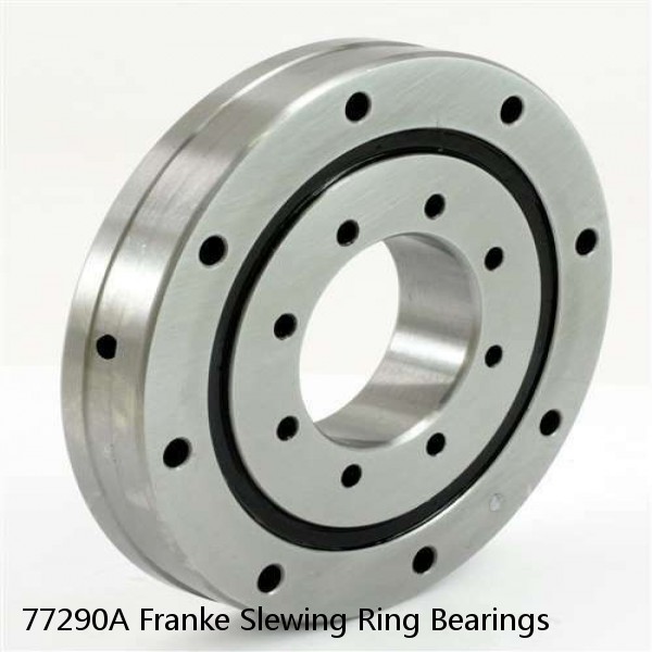 77290A Franke Slewing Ring Bearings