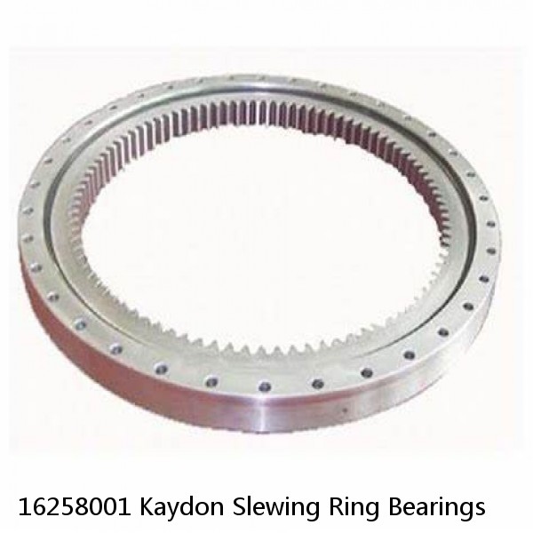 16258001 Kaydon Slewing Ring Bearings #1 small image