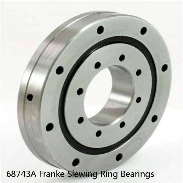 68743A Franke Slewing Ring Bearings #1 image