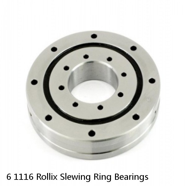 6 1116 Rollix Slewing Ring Bearings #1 image