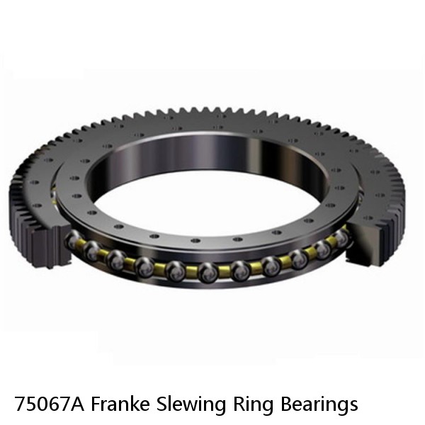 75067A Franke Slewing Ring Bearings #1 image