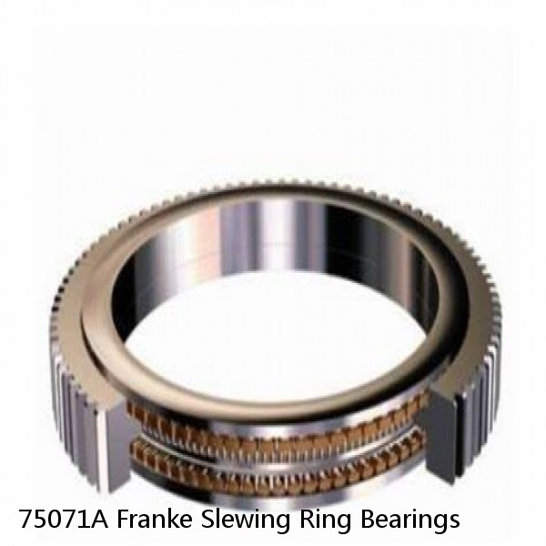 75071A Franke Slewing Ring Bearings #1 image