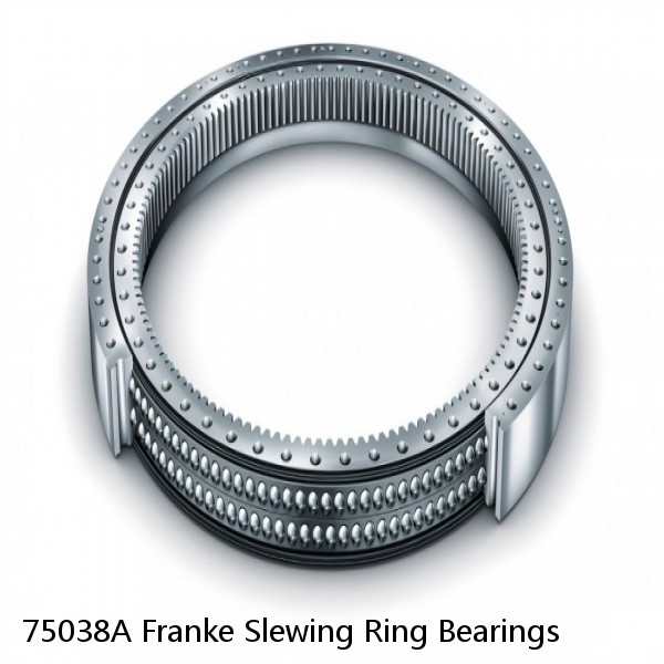 75038A Franke Slewing Ring Bearings #1 image