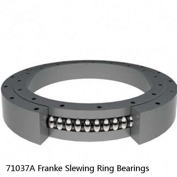 71037A Franke Slewing Ring Bearings #1 image