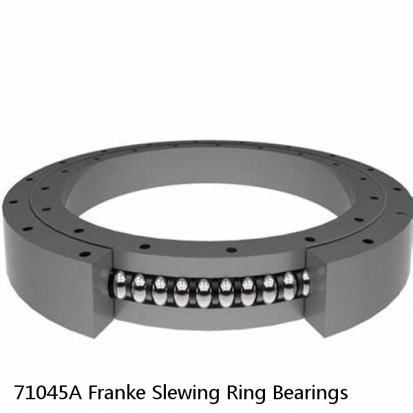 71045A Franke Slewing Ring Bearings #1 image