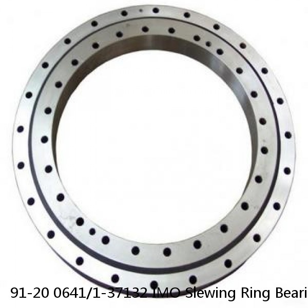 91-20 0641/1-37132 IMO Slewing Ring Bearings #1 image