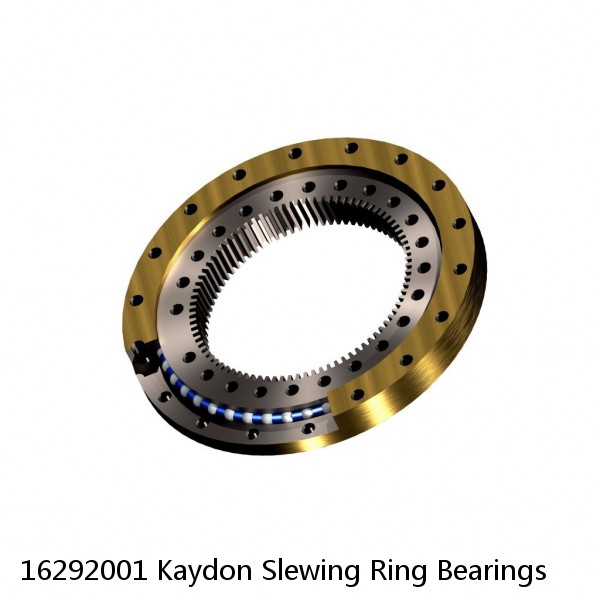 16292001 Kaydon Slewing Ring Bearings #1 image