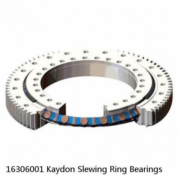 16306001 Kaydon Slewing Ring Bearings #1 image