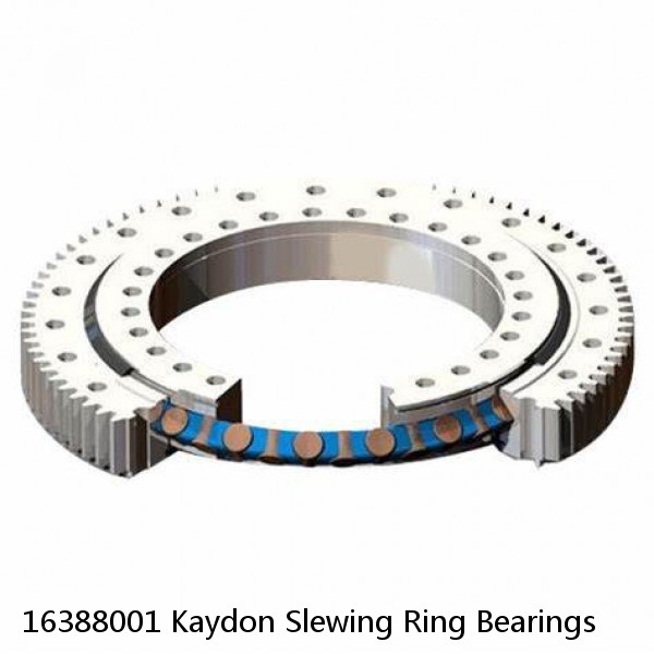 16388001 Kaydon Slewing Ring Bearings #1 image