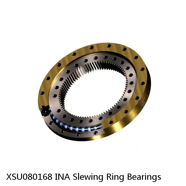 XSU080168 INA Slewing Ring Bearings #1 image