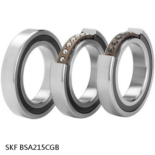 BSA215CGB SKF Brands,All Brands,SKF,Super Precision Angular Contact Thrust,BSA #1 image